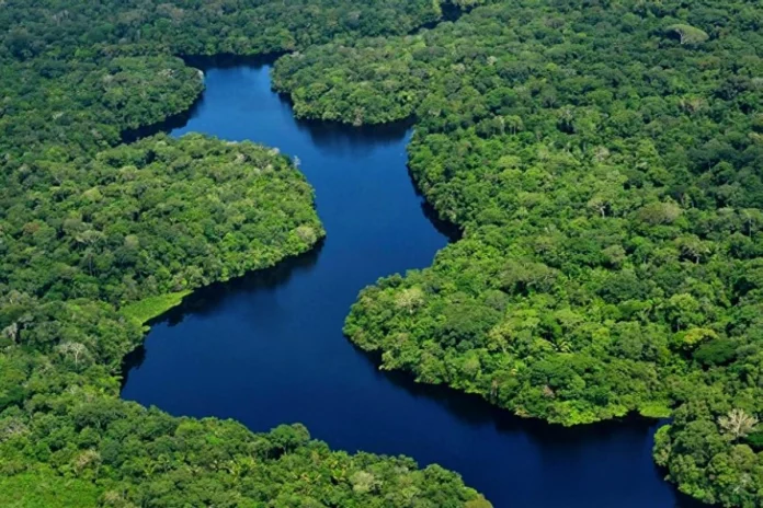 floresta amazonica