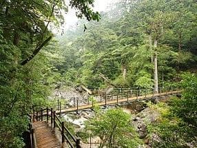 Yakushima Island. destinos sustentáveis